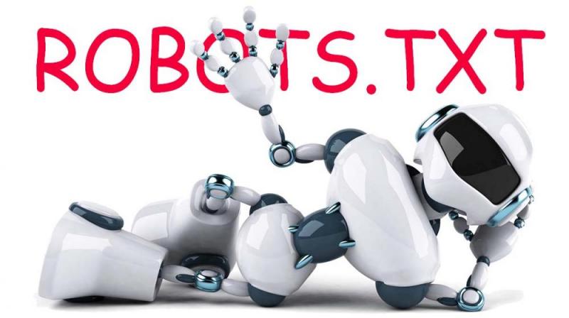 Что такое robots.txt и зачем он нужен в Абакане